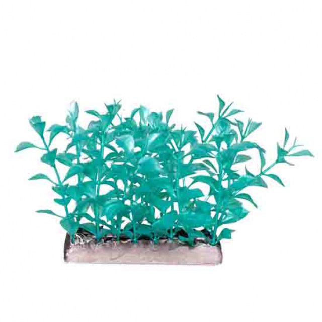 decor of aquarium2